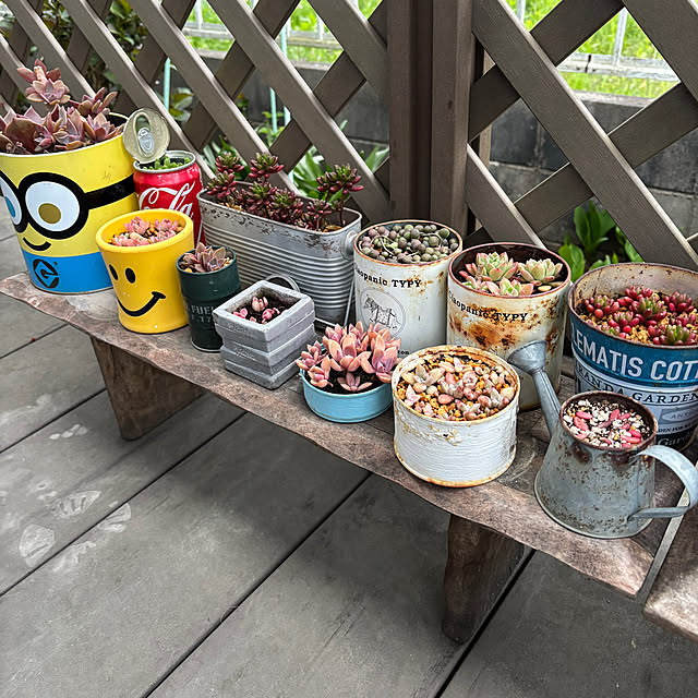 3setai_gurashiさんの部屋