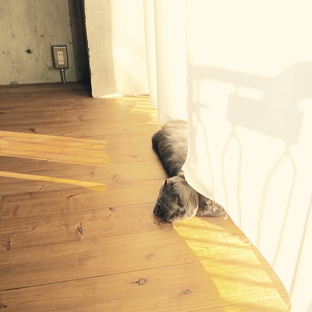 torinokoさんの実例写真