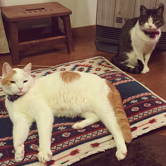 Rettiさんの実例写真