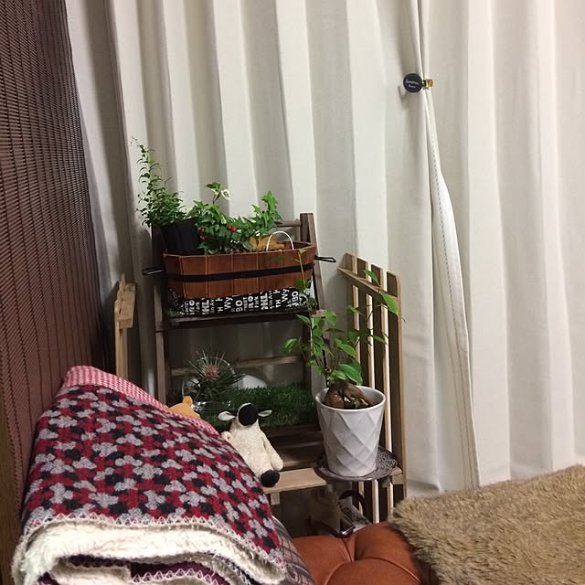 Alfonce_Kazさんの実例写真