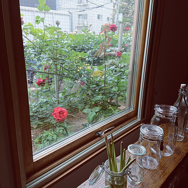 botanさんの実例写真