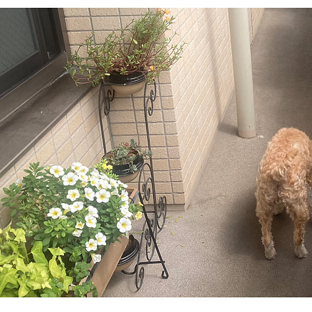 marukoさんの部屋