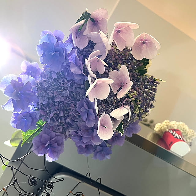 asさんの部屋