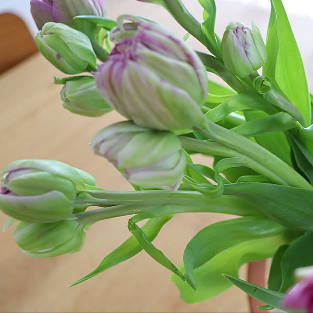 hanatomidorinoheyaさんの部屋