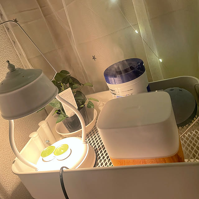 maple79795656さんの実例写真