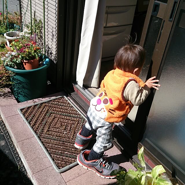 kikuさんの実例写真