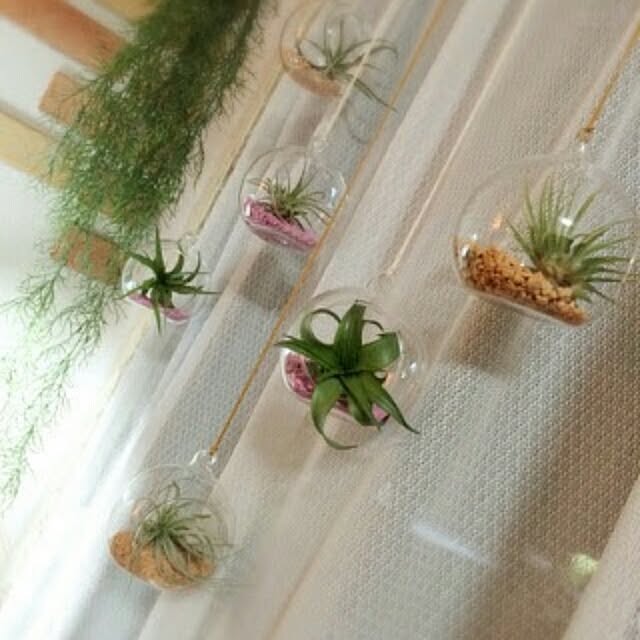 yopikoさんの実例写真