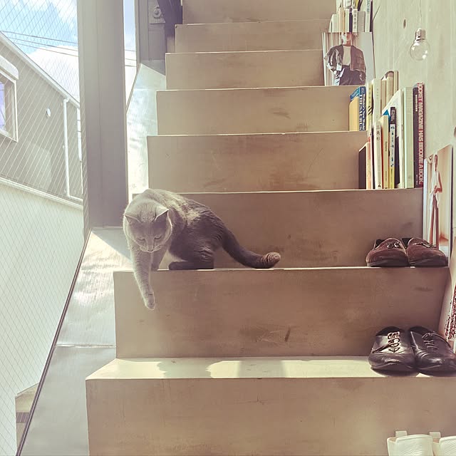 vさんの実例写真