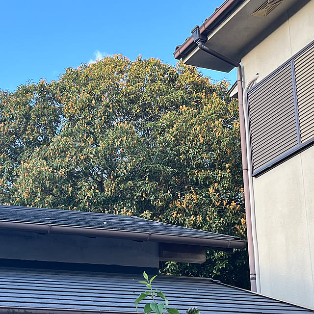 cotaさんの部屋