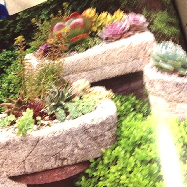 R_mamaさんの実例写真