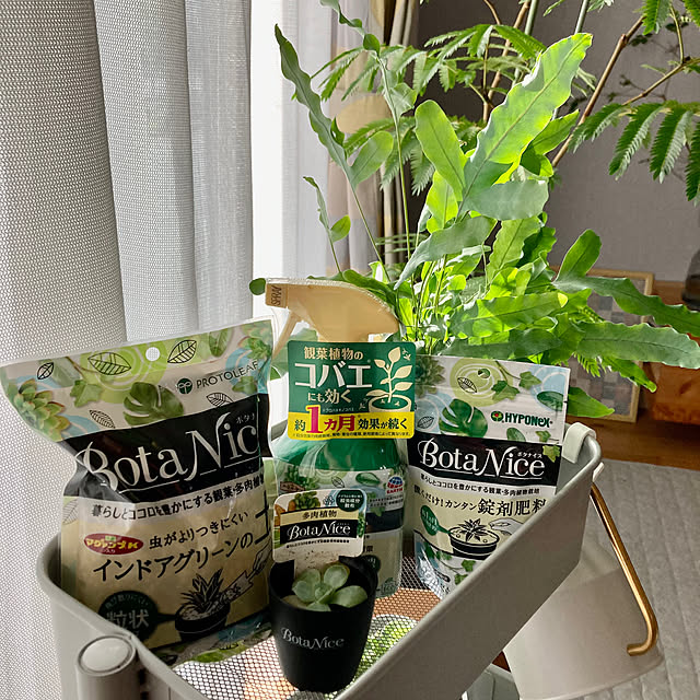 konatsuさんの実例写真