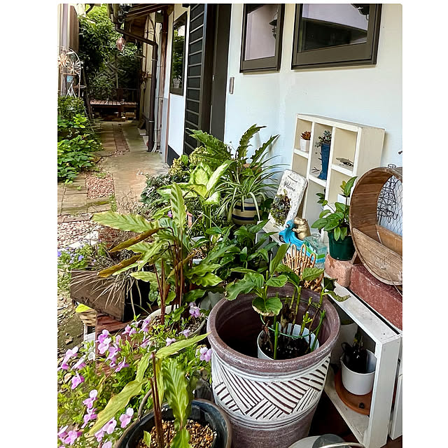 cotaさんの部屋