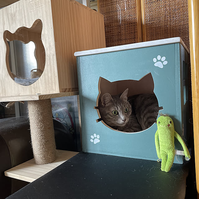 naworinさんの実例写真