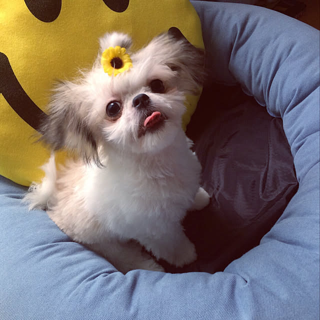 Yukaさんの実例写真