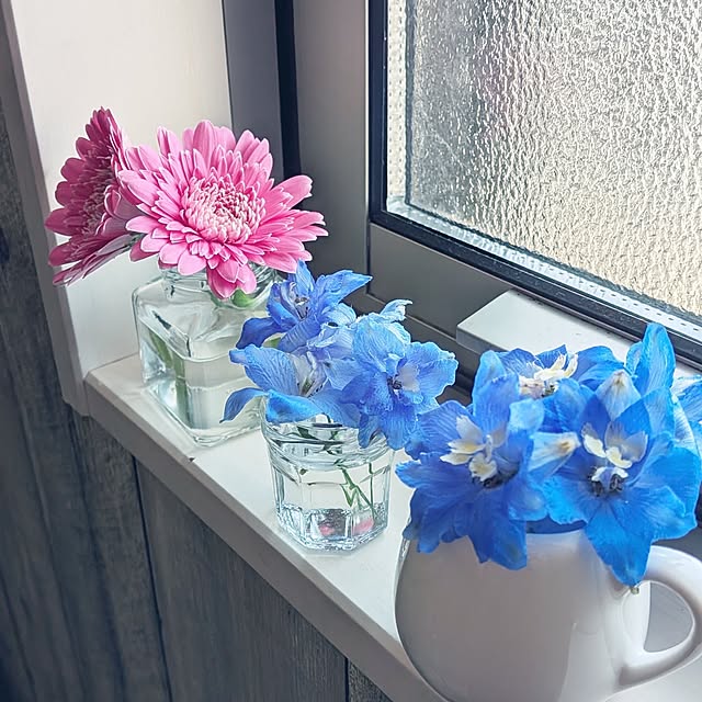 chapioさんの部屋