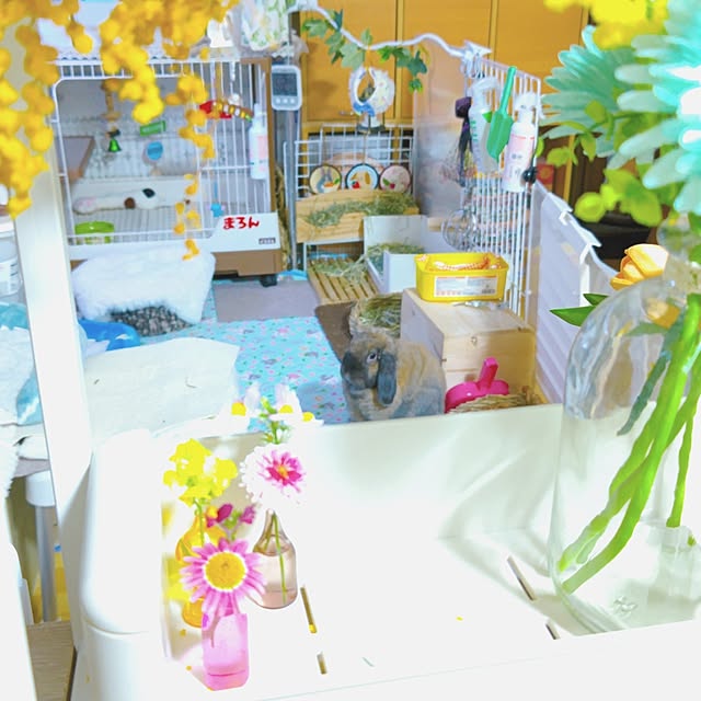 mariaさんの部屋