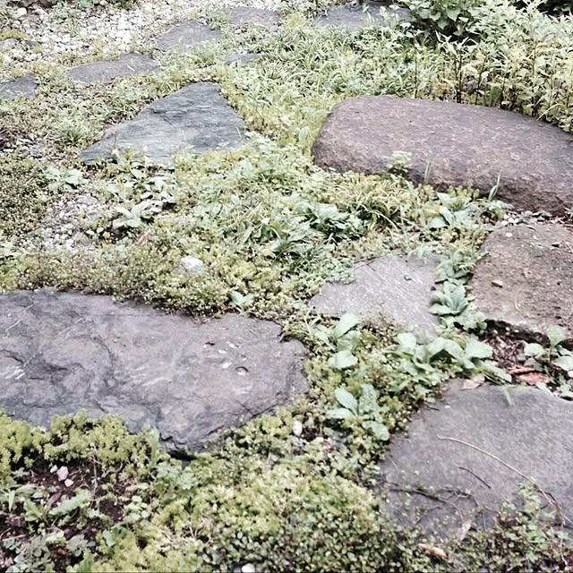 k.yamaさんの実例写真