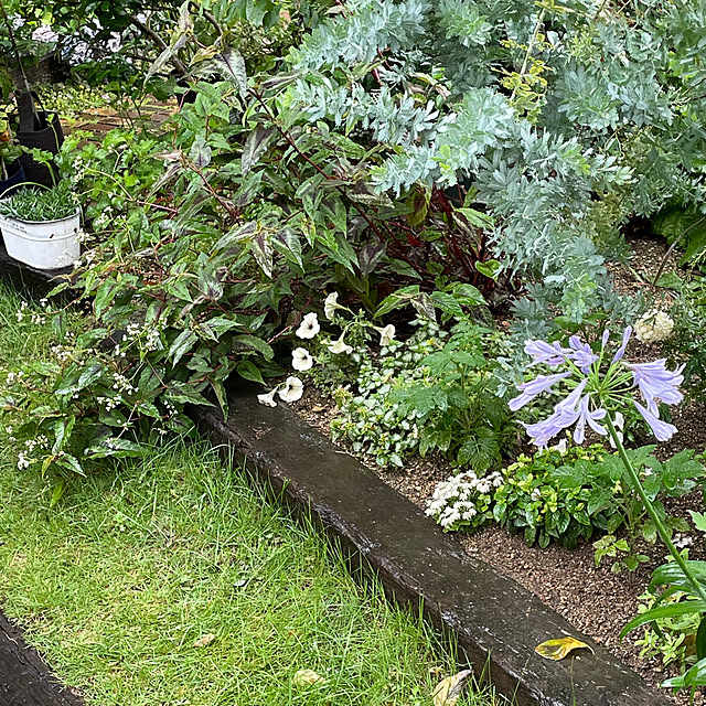 nobikoさんの部屋