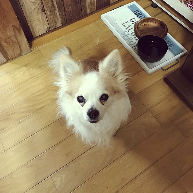 seroriさんの実例写真