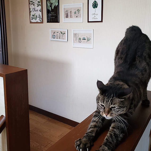 Mayumi8888さんの実例写真