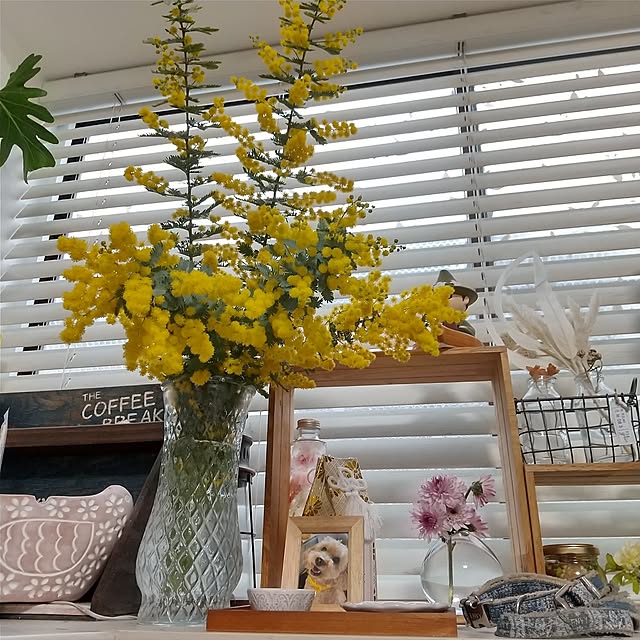 tomomiさんの部屋