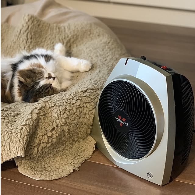 VORNADOJAPANさんの実例写真