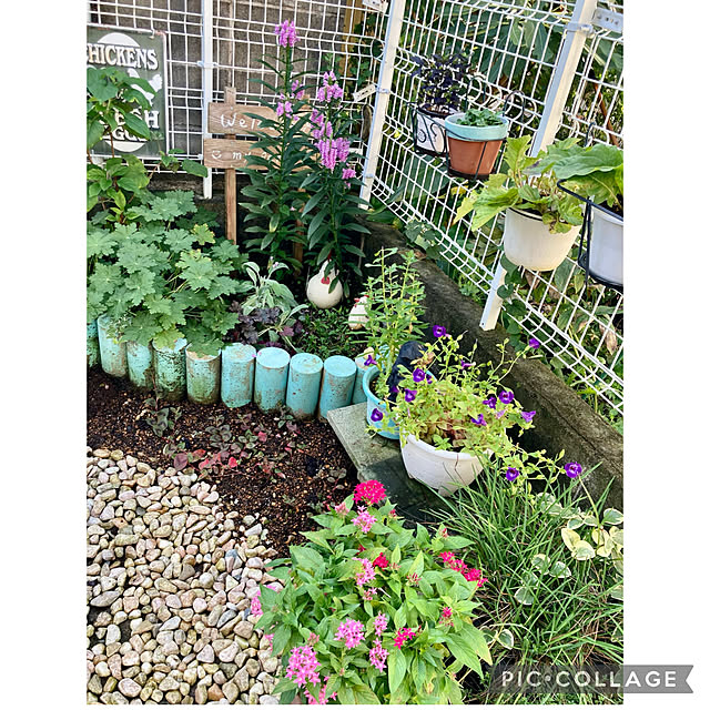 CoCo0617さんの実例写真