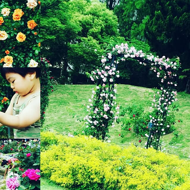 実例写真