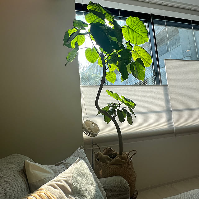 lrikaさんの部屋