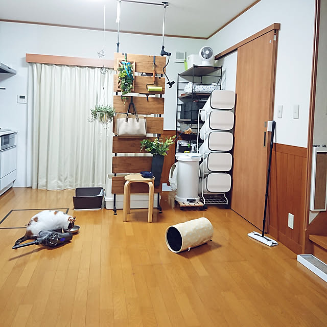 部屋全体/心地よい暮らし/猫との暮らし/多頭飼いの家/雑貨...などのインテリア実例 - 2021-05-21 21:59:25