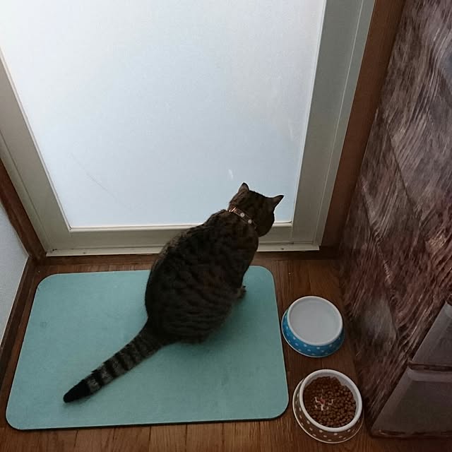 berariさんの実例写真