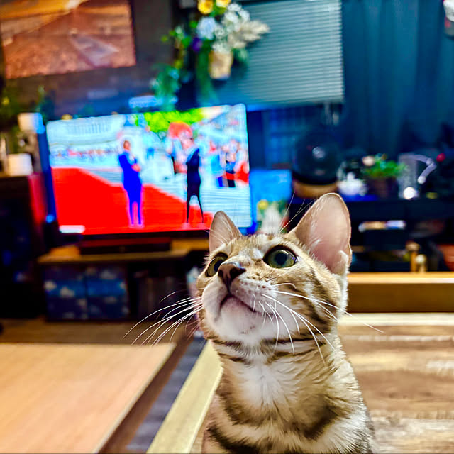 tututu0204さんの実例写真