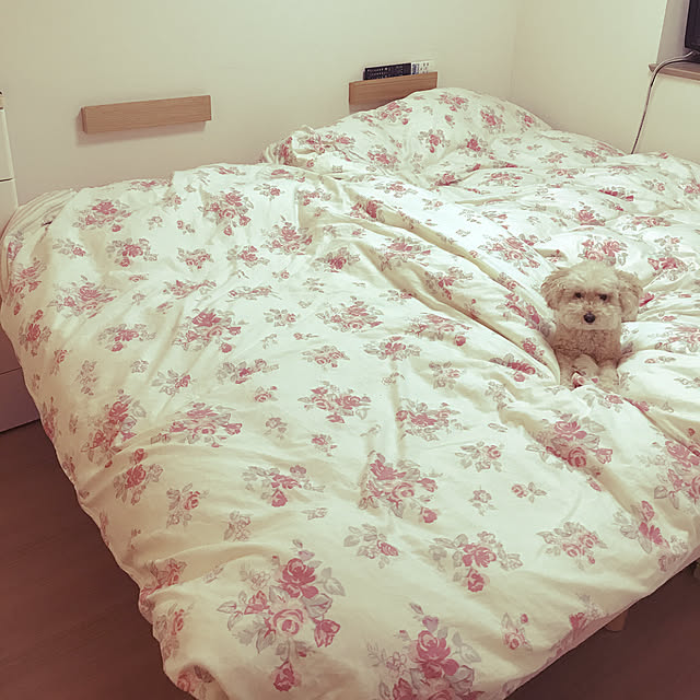 maringogoさんの実例写真