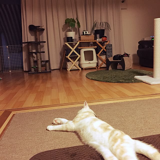 hiyupan88さんの実例写真