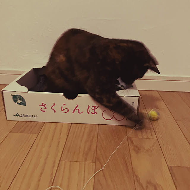 wahahaさんの部屋
