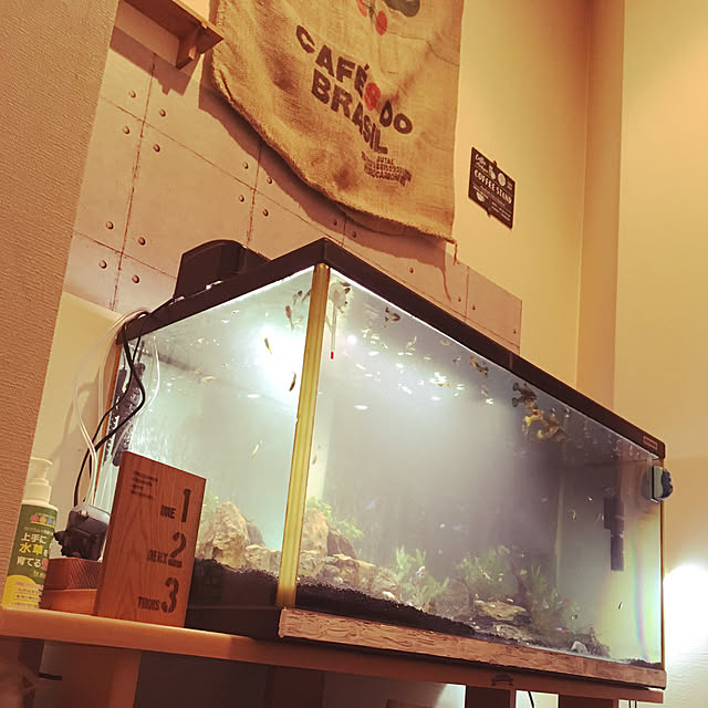 piro4900さんの実例写真