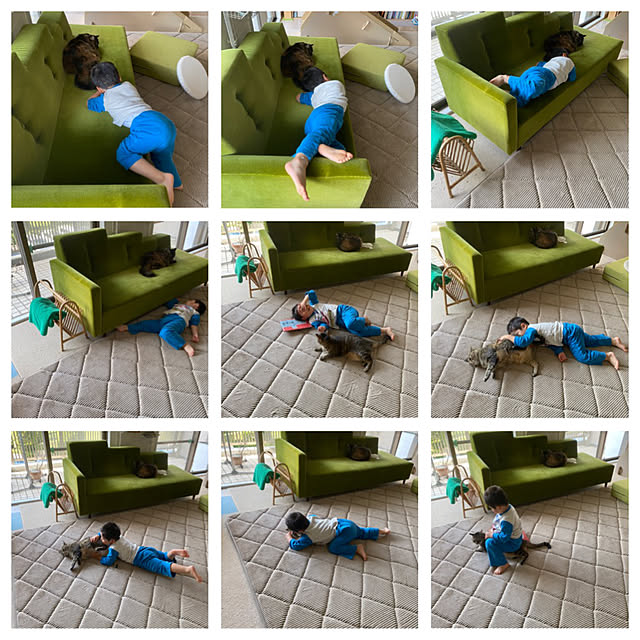 mikomaruさんの実例写真