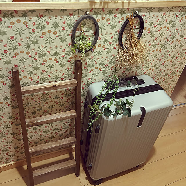 Fumiさんの実例写真