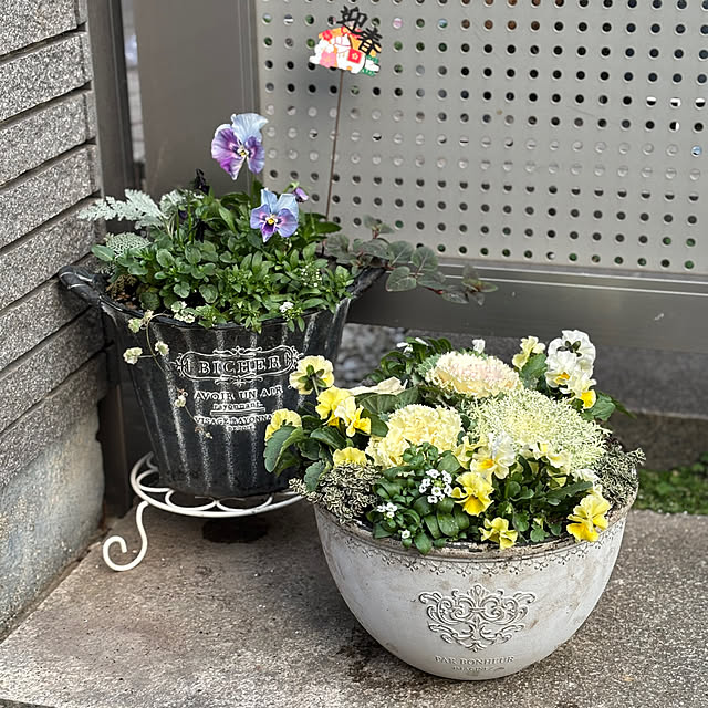 maayaさんの実例写真