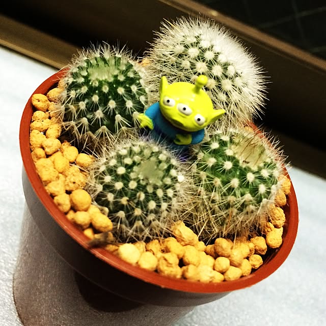 cocommさんの実例写真