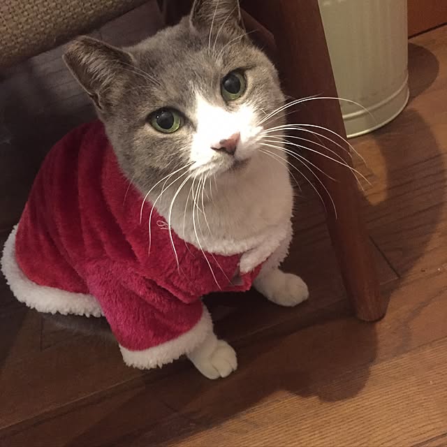 natsumama6566さんの実例写真