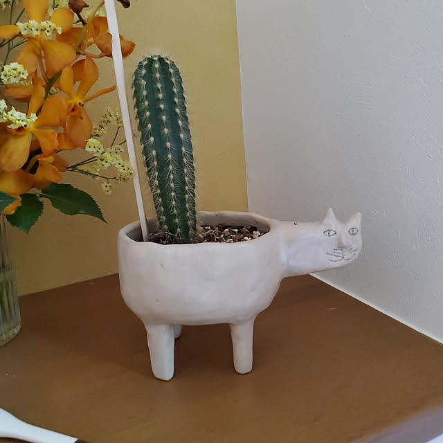 hiroさんの実例写真