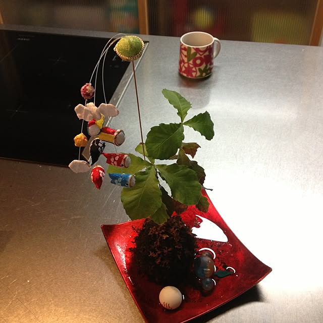 kemukujyaraさんの実例写真