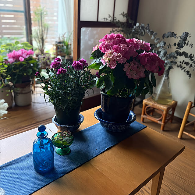 buchiさんの部屋