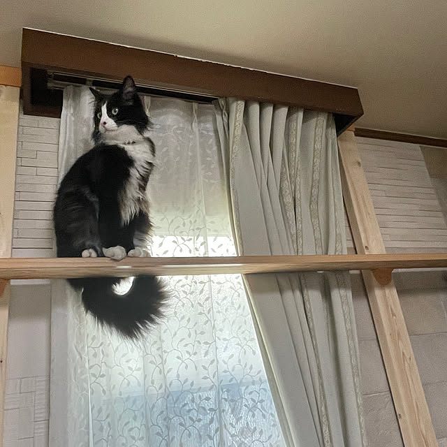 aoiさんの実例写真
