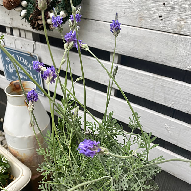 YuuKoさんの部屋