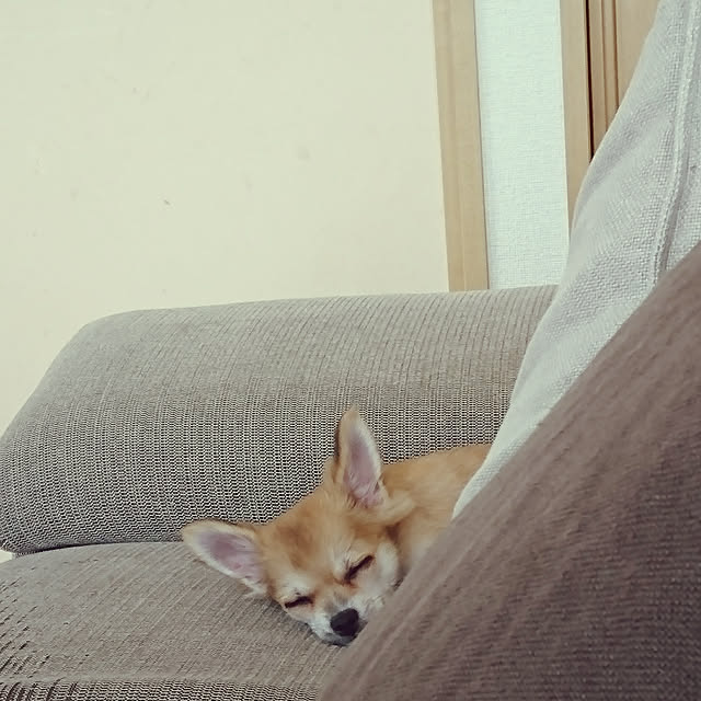 nattimomoさんの実例写真