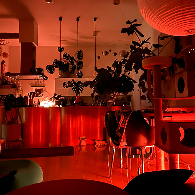 nonononakaさんの実例写真