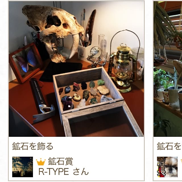 R-TYPEさんの実例写真