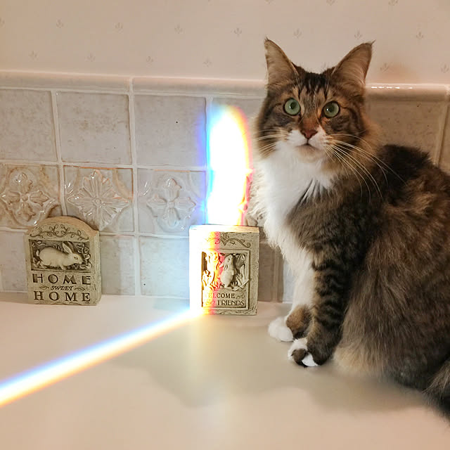 yuchiさんの実例写真